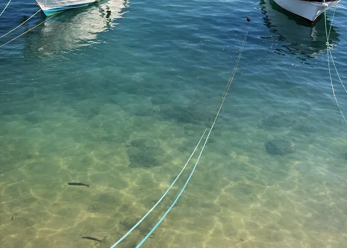 - Grill Terrace 别墅 夫塞塔