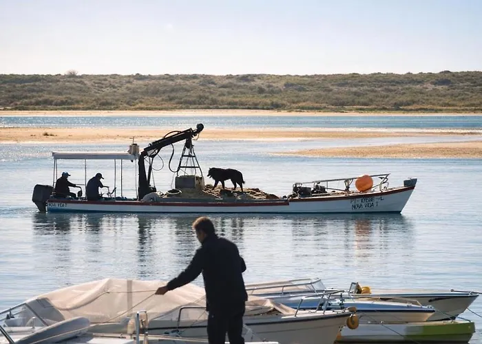 - Grill Terrace Fuzeta